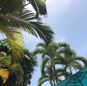 Meet your Posher, Ann